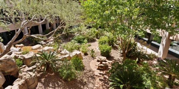 Horizon Recovery - Arrowhead